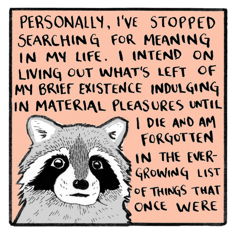 Jeremy The Racoon raccoon – Jeremy Butterfield Editorial